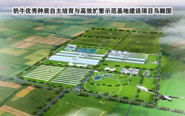 山東種業(yè)集團(tuán):培厚新動能,努力打造"中國芯"|強(qiáng)信心 穩(wěn)經(jīng)濟(jì) 促發(fā)展