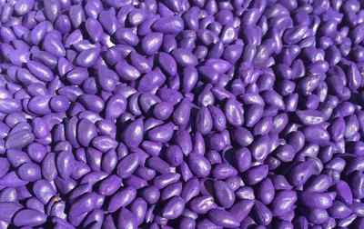 我國種衣劑市場產(chǎn)品布局及未來重點(diǎn)關(guān)注的化合物