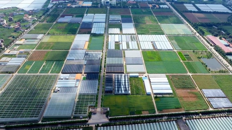 云南省全力發展農業新質生產力