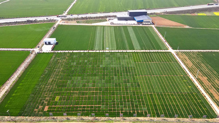 【牢記囑托 建成支點】扶輪農(nóng)業(yè):推動種業(yè)創(chuàng)新 加速科技成果轉(zhuǎn)化