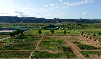 蒙草生態(tài)上市十周年 以種業(yè)為本，科研當(dāng)先，深耕生態(tài)修復(fù)的“中國草”