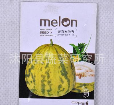 澤田種業(yè)優(yōu)質(zhì)甜瓜種子 家庭果蔬種植的理想選擇