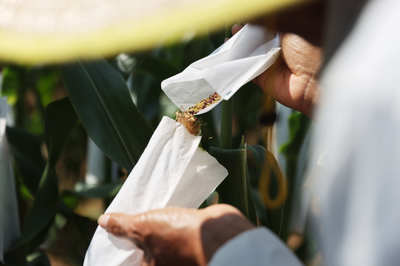 聚焦種業(yè)“破卡”，2021中國種子大會引領(lǐng)種業(yè)振興新篇章