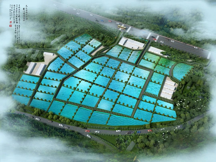 投資2.4億！水產(chǎn)巨頭落子九江，南海現(xiàn)代水產(chǎn)種業(yè)迎來強勁新引擎